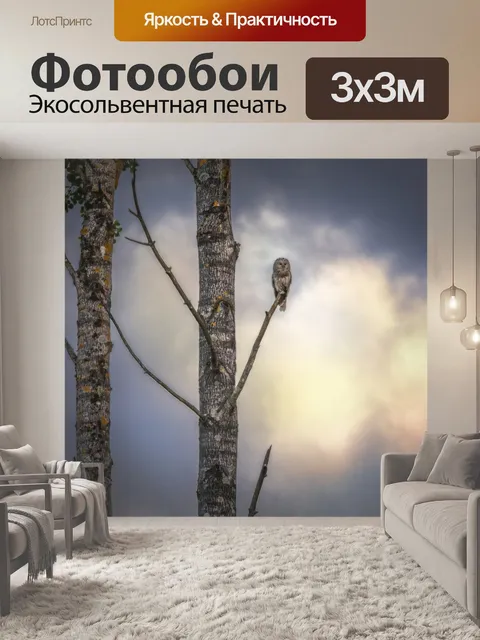 Фотообои Уральская сова