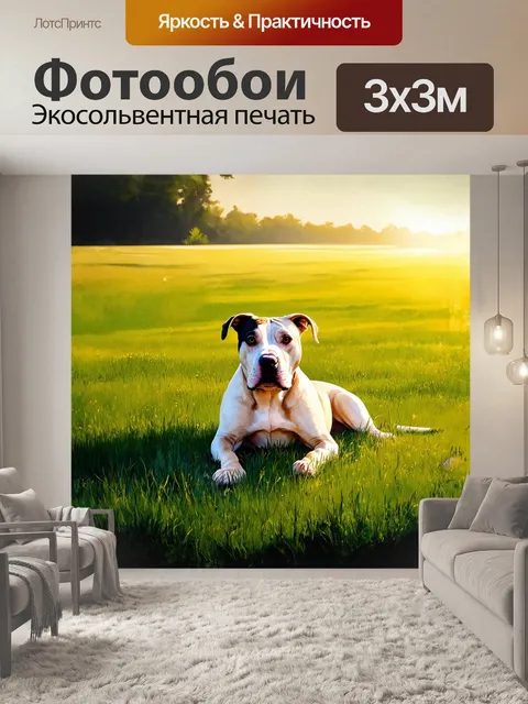 Фотообои американский стаффордширский терьер
