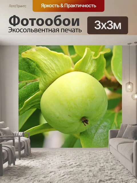 Фотообои Каки