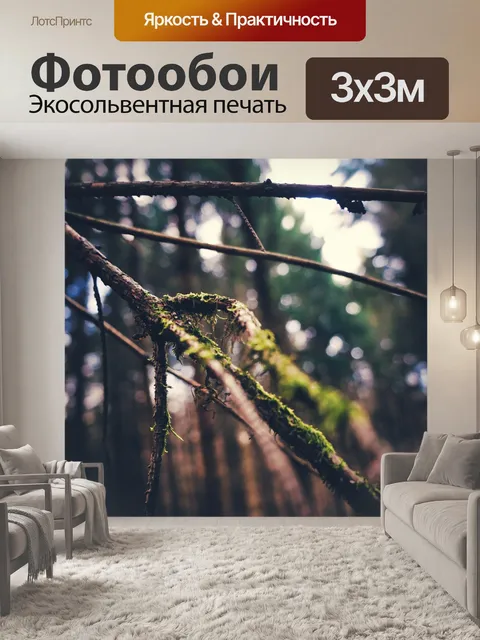 Фотообои Природа