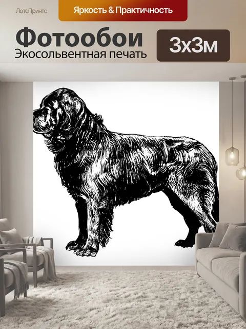 Фотообои Клипарт Ньюфаундленд собака
