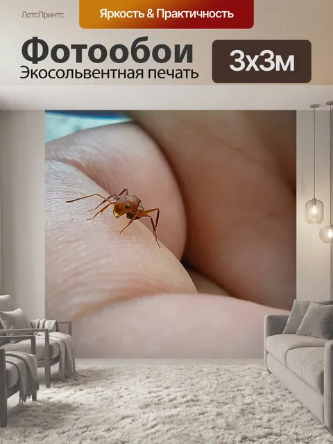 Фотообои Макрос