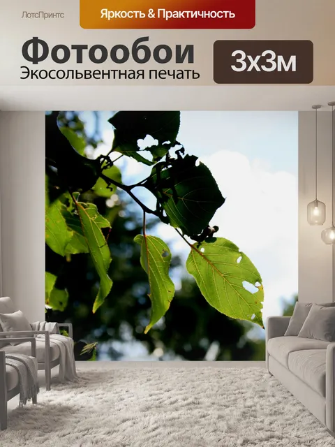 Фотообои ошибки были здесь