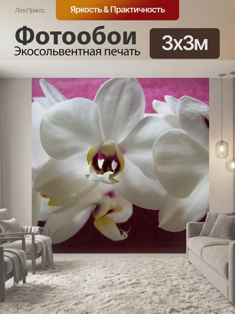 Фотообои Орхидея