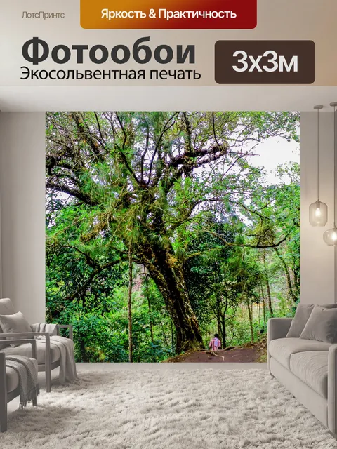 Фотообои Kewfin гора Лампанг, Таиланд