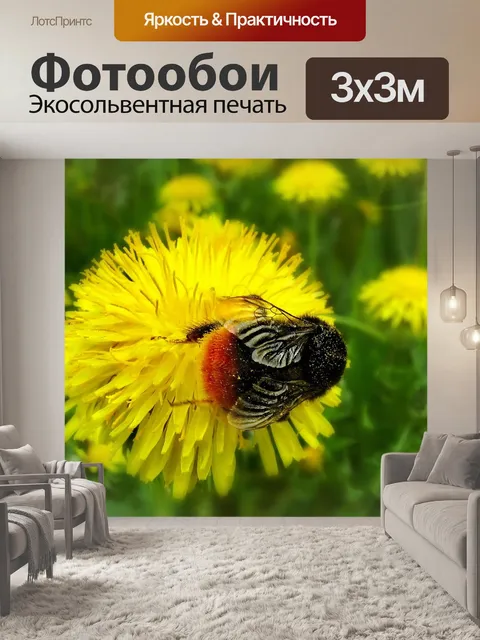 Фотообои Дачное
