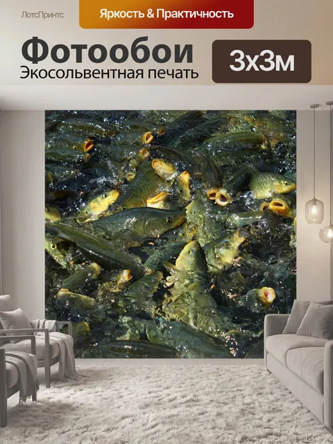 Фотообои Урфа фишигол