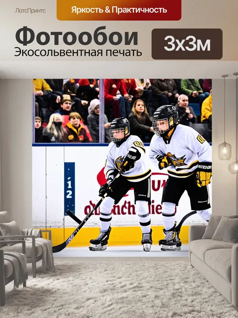 Фотообои молодежный хоккейный турнир