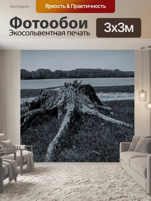 Фотообои Ствол