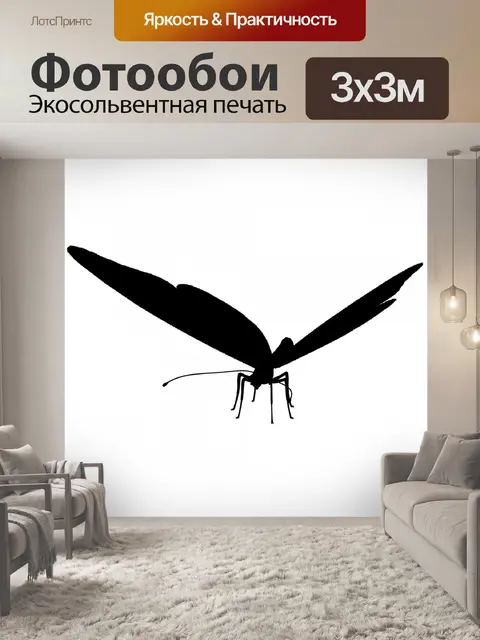 Фотообои бабочка