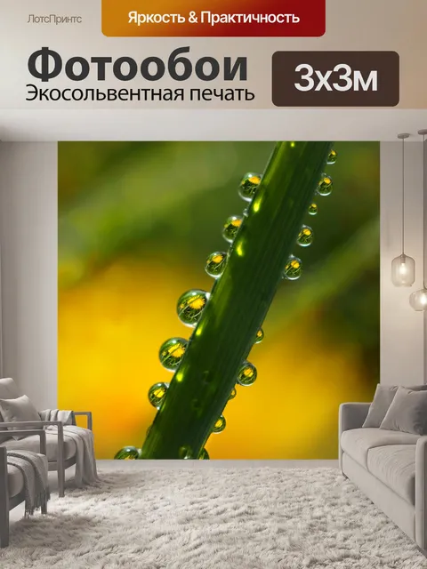 Фотообои Зеркальное отражение одуванчика
