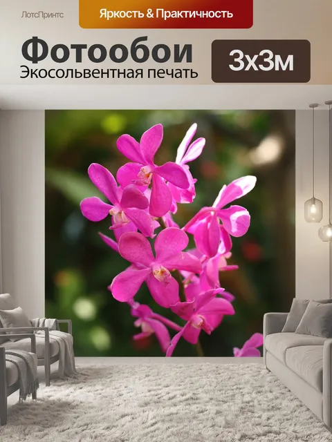 Фотообои Цветок