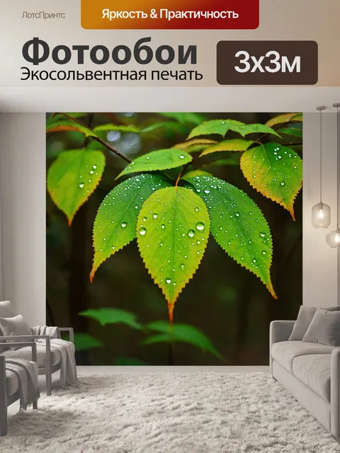 Фотообои листья в лесу, покрытые каплями росы после дождя