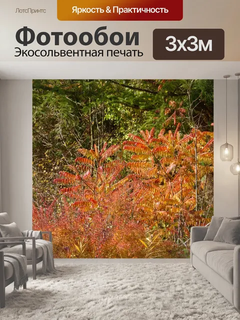 Фотообои Падение