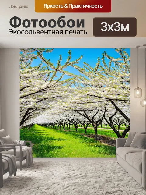 Фотообои вишнёвый сад во время цветения