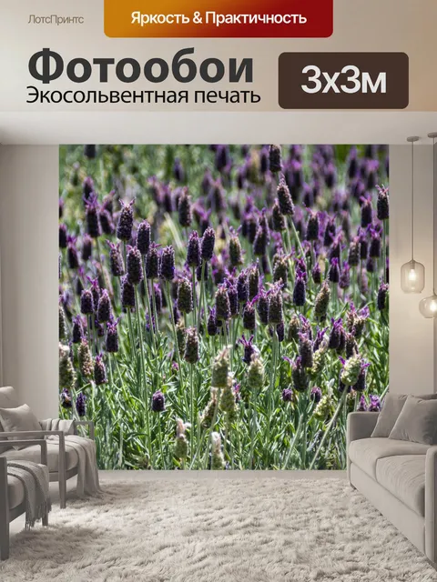 Фотообои Французская лаванда