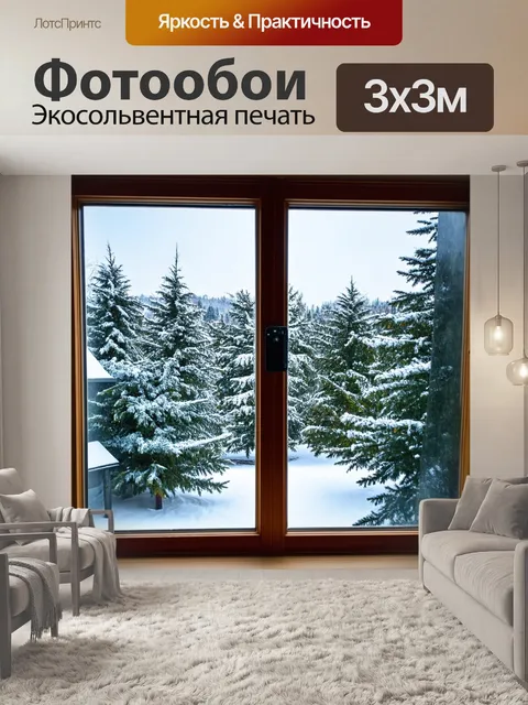 Фотообои зимний день за окном