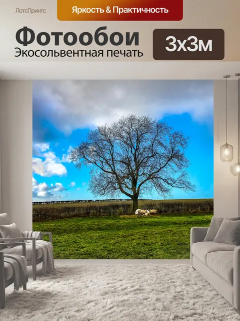 Фотообои Поле-и-овца-в-дождь