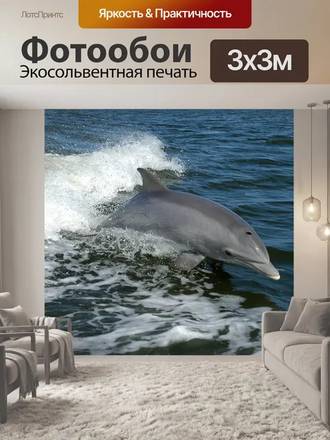 Фотообои Дельфин, Tursiops truncatus
