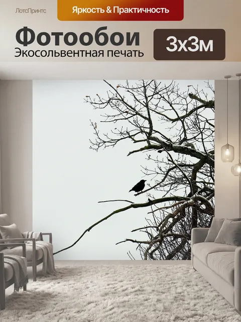 Фотообои Птица