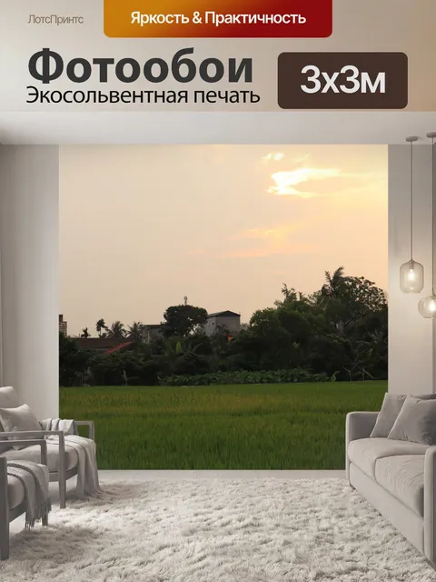 Фотообои Пэдди