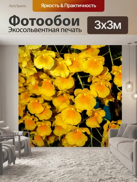 Фотообои Цветок орхидеи
