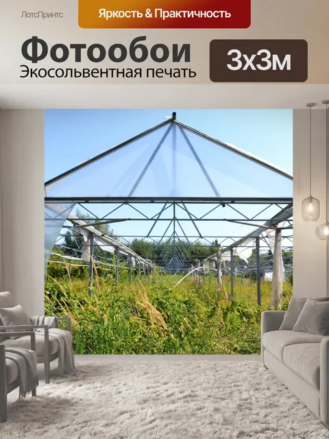 Фотообои Заброшенная теплица