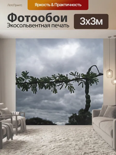 Фотообои ветка ароматного шипа