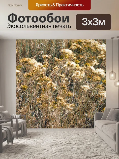 Фотообои Осенние сорняки