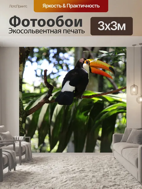 Фотообои Тукан