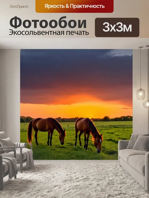 Фотообои закат в сельской местности