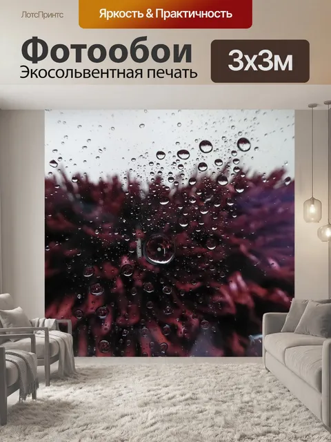 Фотообои Автомойка