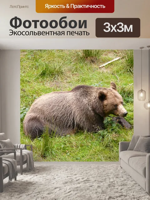 Фотообои Нести