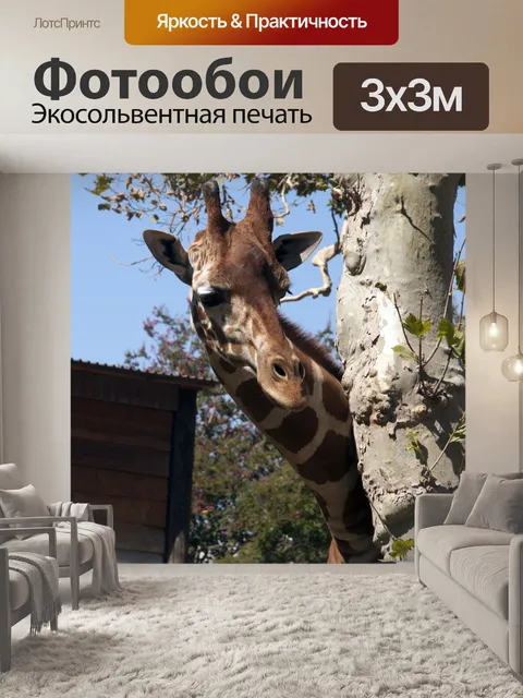 Фотообои Жирафа
