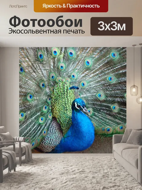 Фотообои Птица