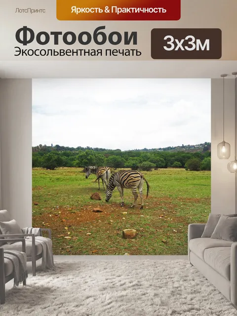 Фотообои группа выпаса зебры Берчелла