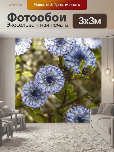 Фотообои Лесной цветок