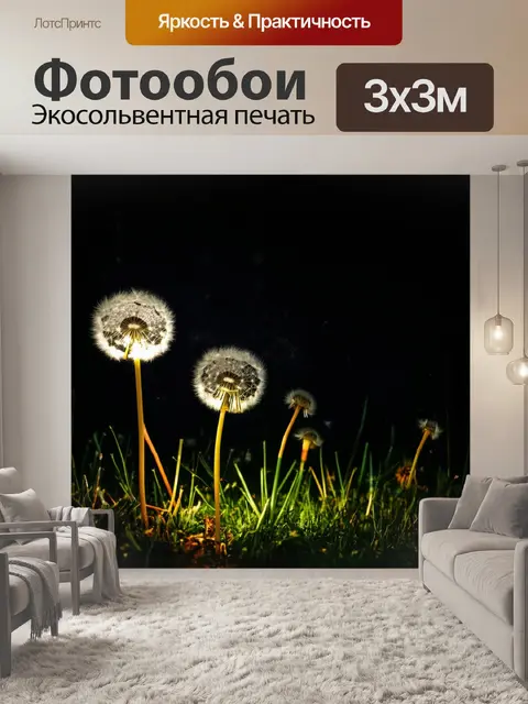 Фотообои одуванчики в ночном свете, создают загадочную атмосферу и ощущение волшебства