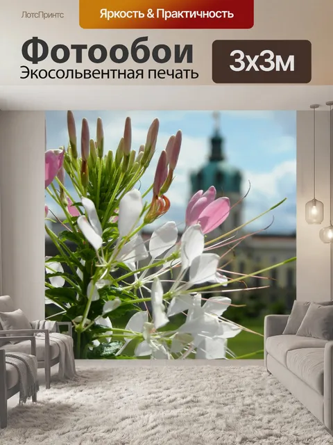 Фотообои Цветы