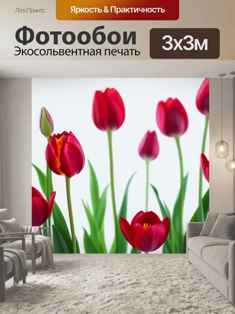Фотообои тюльпаны на белом фоне