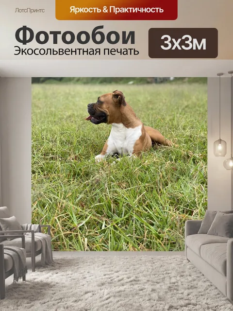 Фотообои Зверь