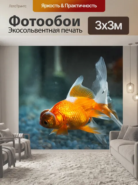 Фотообои Fish