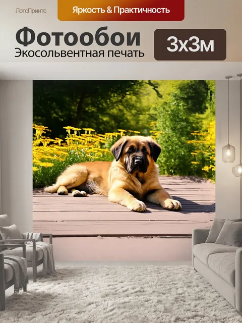 Фотообои щенок леонбергера, лежащий на старой деревянной площадке, окруженный полосатыми тенями от деревьев