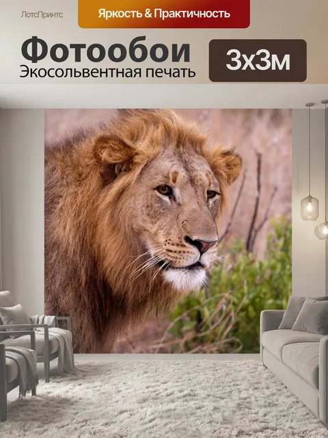 Фотообои Лев