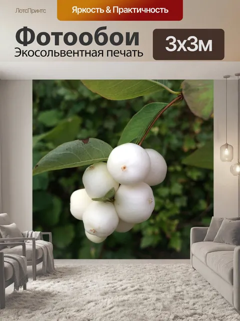 Фотообои Белый