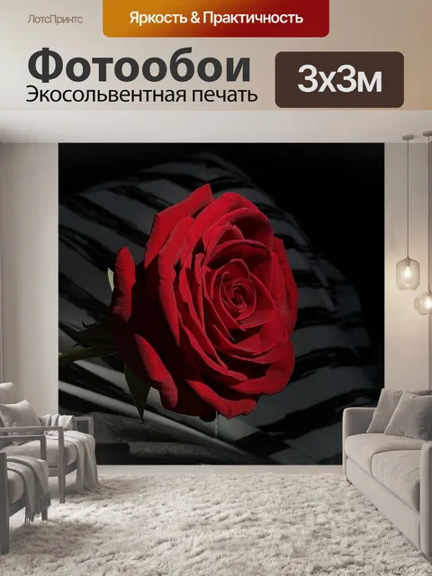 Фотообои Роза