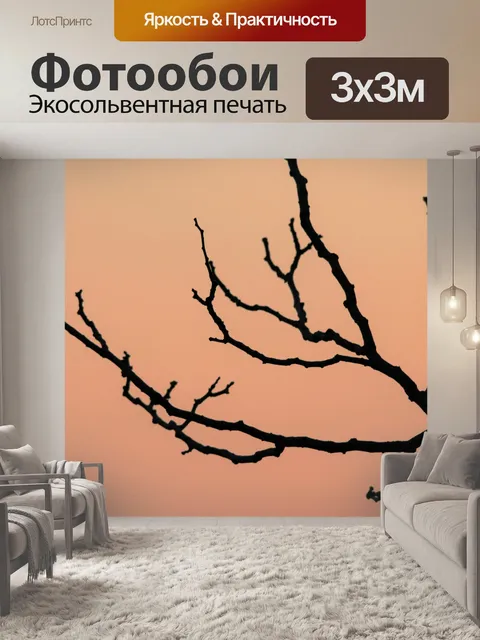 Фотообои Стильные филиалы на закате