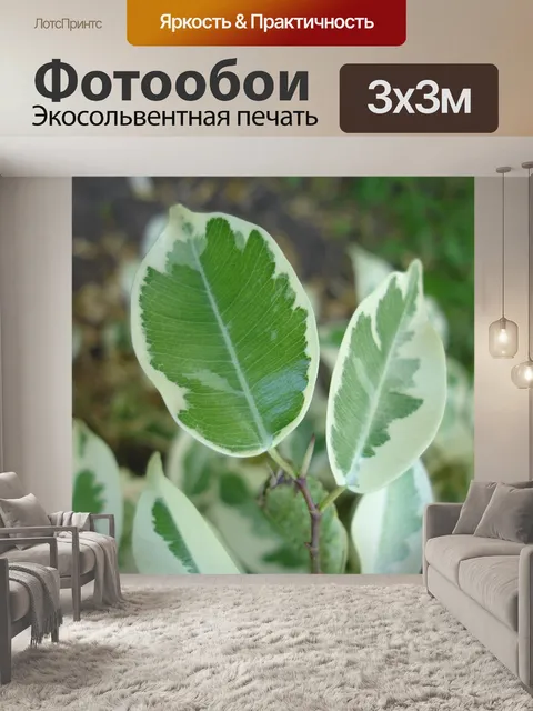 Фотообои Листы