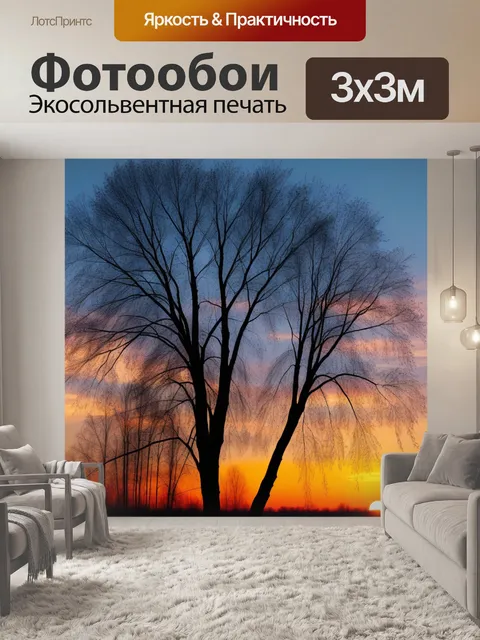 Фотообои силуэт березки на фоне заката