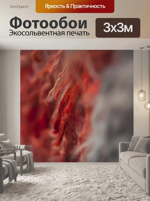Фотообои Ковер